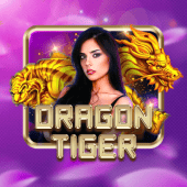 Dragon Tiger at kuwin71